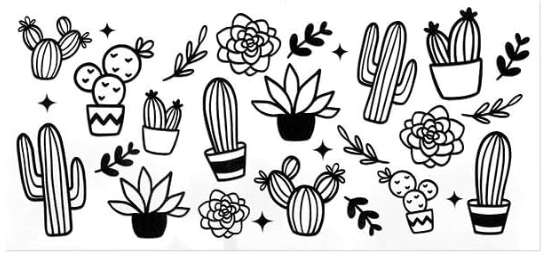 Succulents